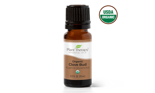 Plant Therapy Organic Clove Essential Oil